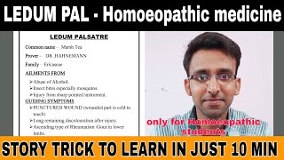 ledum pal homeopathic medicine use in hindi  ledum pal  ledum palustre  ledum pal कैसा दर्द मे दे [upl. by Mallon]