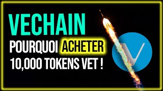 Pourquoi jai acheté 10000 tokens VET  Vechain lun des projets crypto les plus sérieux [upl. by Anaehr781]