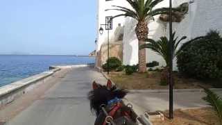 ISLAND OF SPETSES HORSE CARRIAGE TOUR [upl. by Forward190]