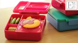 3 Lunchbox Ideas featuring Leftovers [upl. by Anilemrac]