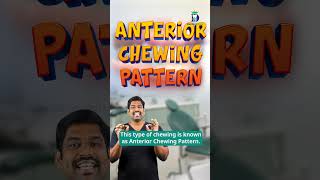 முன்பல் மூலமாகவே உணவை உண்டால் Anterior chewing pattern  Dentakings  DrKarthikeyan [upl. by Fachini]