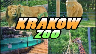 KRAKÓW ZOO  Ogród Zoologiczny w Krakowie  Poland 4K [upl. by Saoj]