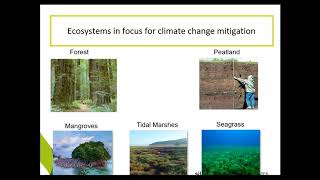 Challenges and Successes of Incorporating Coastal Wetlands in the US GHG Emissions and Sinks [upl. by Ayian324]