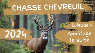 Chasse chevreuil 2024 Appâtage suite Ep4 [upl. by Abeu]