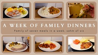 WEEK 56 FAMILY DINNERS OF THE WEEK  family of eight evening meal ideas meal plan🍝🥙 [upl. by Gnouv]