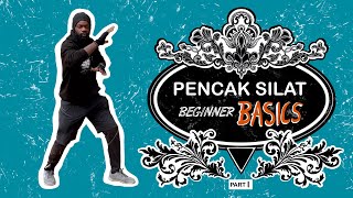 Pencak Silat Training Footstep 1 amp techniques [upl. by Ecnirp256]