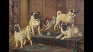 historical changes in pugs over time [upl. by Brelje799]