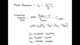 Equation Rapid Review Renal Clearance amp Glomerular Filtration Rate [upl. by Cusack]