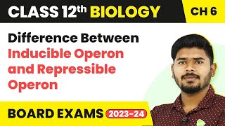 Difference Between Inducible Operon and Repressible Operon Molecular Basis of InheritanceClass 12 [upl. by Nyladnohr]