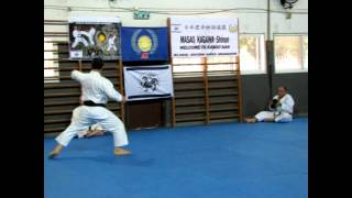 JKS Kata Junro Yondan  Kagawa Sensei demonstration [upl. by Olcott]