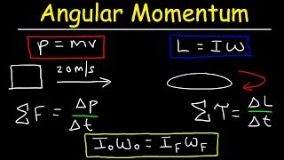 Angular Momentum  Basic Introduction Torque Inertia Conservation of Angular Momentum [upl. by Lidstone]