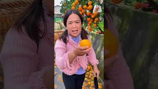 ¡Así Se Cosechan Naranjas en Asia Directamente en Canales de Agua🍊🌊 shorts [upl. by Nahtahoj130]