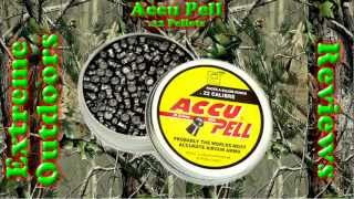 AccuPell  22 Pellets  Review  VOICE [upl. by Etyak]