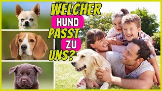 Top 10 Hunderassen für Familien  Die quotbestenquot Familienhunde [upl. by Nagel]