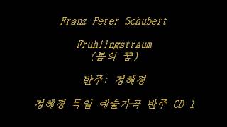 Schubert  Fruhlingstraum 봄의 꿈  Accompaniment [upl. by Ayo]