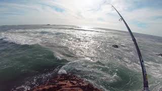 Robalo ao spinning  NORTE PORTUGAL [upl. by Hedvig]