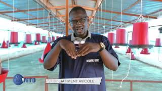 COMMENT CONSTRUIRE UN BÂTIMENT AVICOLE DALALE NDANANE Wally DIOP MAZ [upl. by Droffats]