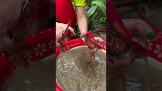 Whats in the mud 🌶️😱🐟 Oddly satisfying asmr viral trending shorts [upl. by Eintihw]