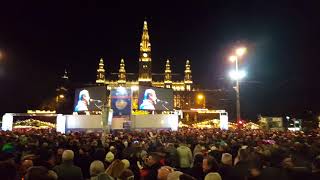 Silvester Rathausplatz Wien 20172018 [upl. by Deana]