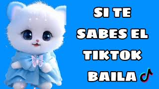 Si Te Sabes El TikTok Baila  2023 [upl. by Ahsiket]