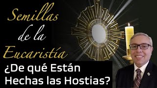 ¿De qué Están Hechas las Hostias  Semillas de la Eucaristía [upl. by Ralleigh264]