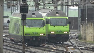 BLS Lokrangierfahrten railCare mit CoopZug und mehr bei Regen in Spiez [upl. by Hsirap]