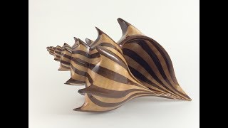 Conical Spiral Wood Shell [upl. by Fawcett]