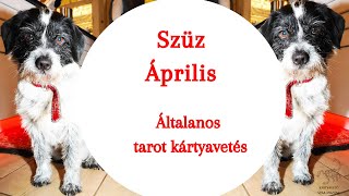 ” Imposztor szindróma quot Általános tarot kártyavetés szűz horoszkóp jegy részére [upl. by Nafri902]