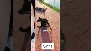 কি যে বলি 🤔বুজতো পারছি না subscribers everyone comedy comedyvideos funnyshorts shorts funny [upl. by Joris554]