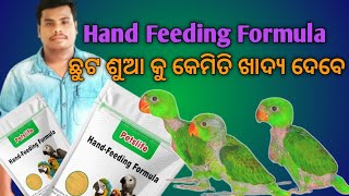 Petslife Hand Feeding Formula ଛୁଟ ଶୁଆ କୁ କେମିତି ଖାଦ୍ୟ ଦେବେ [upl. by Benjamen]