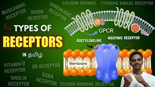 Types of Receptors in Tamil [upl. by Akinuahs]