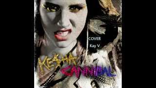 Cannibal cover Kesha  Kevin Vásquez [upl. by Narual838]