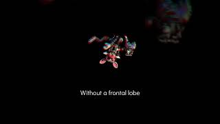 Mangles Radio what i think it says fnaf fnaf2 mangle [upl. by Surtemed143]