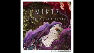 MINTZ  Spitzer Artlist [upl. by Nollaf]