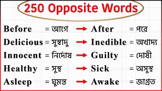 250 Opposite Words with Bangla Meaning  Bangla to English Word Meaning  Learn English Vocabulary [upl. by Fitzger]