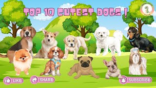 Top 10 Cutest Dogs [upl. by Mixam]