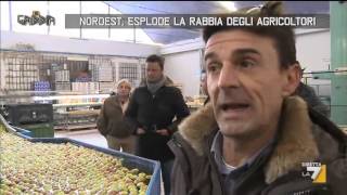 Nordest esplode la rabbia degli agricoltori [upl. by Franciska]