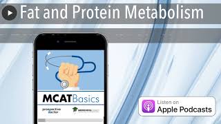 Fat and Protein Metabolism [upl. by Murat930]