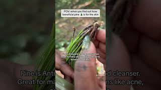 Pine A remedy for Eczema Acne amp Psoriasis [upl. by Orling268]