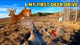 UNFORGETTABLE EXPERIENCE I’m running DOGS for DEER [upl. by Notrom406]