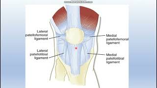 Patellofemoral pain syndrome 3 [upl. by Raynah]