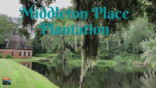 Our tour of the Middleton Place Plantation [upl. by Eiralih]