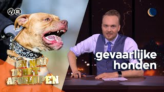 En nou is het afgelopen met gevaarlijke honden  De Avondshow met Arjen Lubach S4 [upl. by Hafinah]