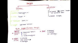 Meningitis microbiology pathology all details of NMeningitis part 2 [upl. by Sivlek]