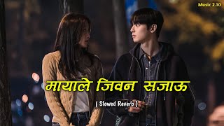 Mayale Jiwan Sajau SlowedReverb  Nepali Song  Music 210 [upl. by Atidnan]