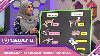 Tahap II 2022  Klip  Sains Tahun 6 Interaksi Antara Haiwan  MangsaPemangsa [upl. by Mushro]