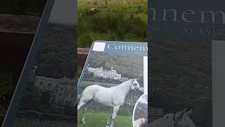 connemara ponies  Connemara national park   Ireland [upl. by Pennie]