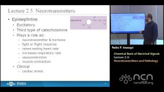 nanoHUBU Bioelectricity L25 Chemical Basis  Neurotransmitters and Pathology [upl. by Vaden40]