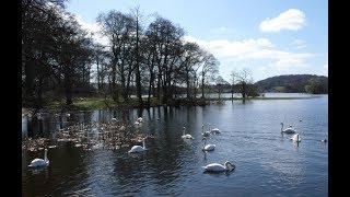 Places to see in  Castle Douglas  UK [upl. by Jacques99]