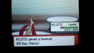 EXTREME EV Training Milotic 69 Sp Attack [upl. by Ahsyle]